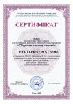 Сертификат Нестеров